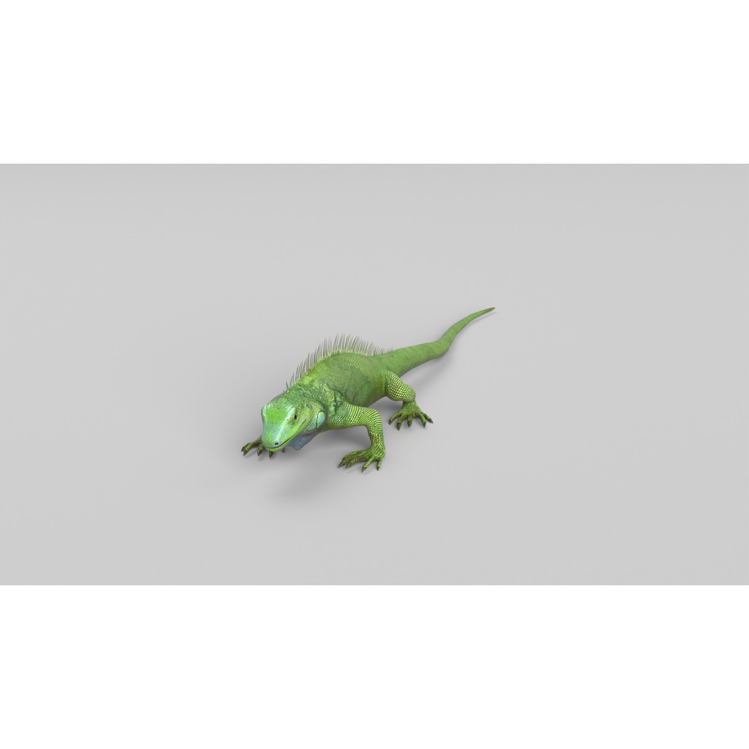 Iguana 3D Model – Low Poly Game Asset, PBR Textures, FBX - View 12