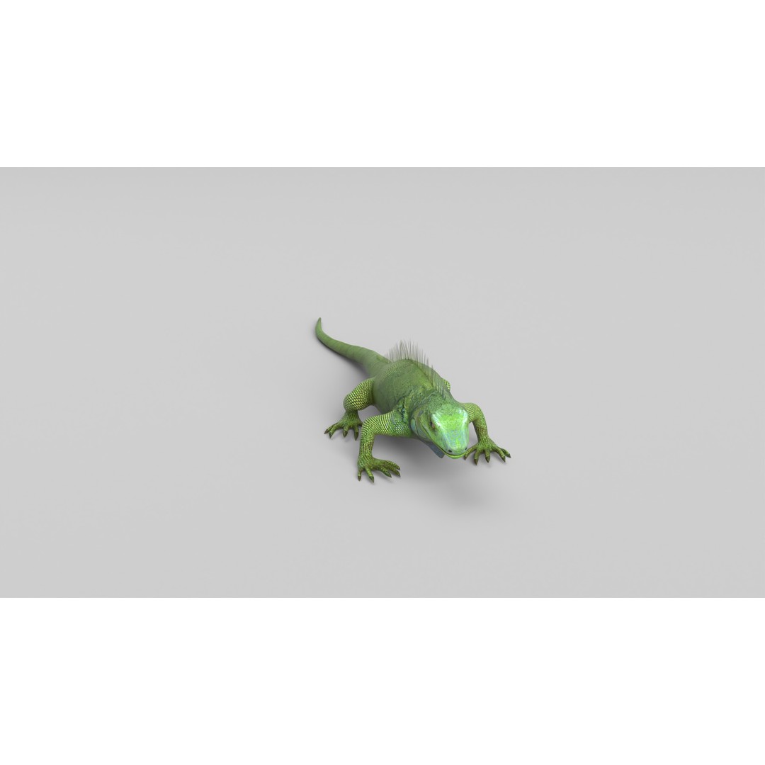 Iguana 3D Model – Low Poly Game Asset, PBR Textures, FBX - View 13