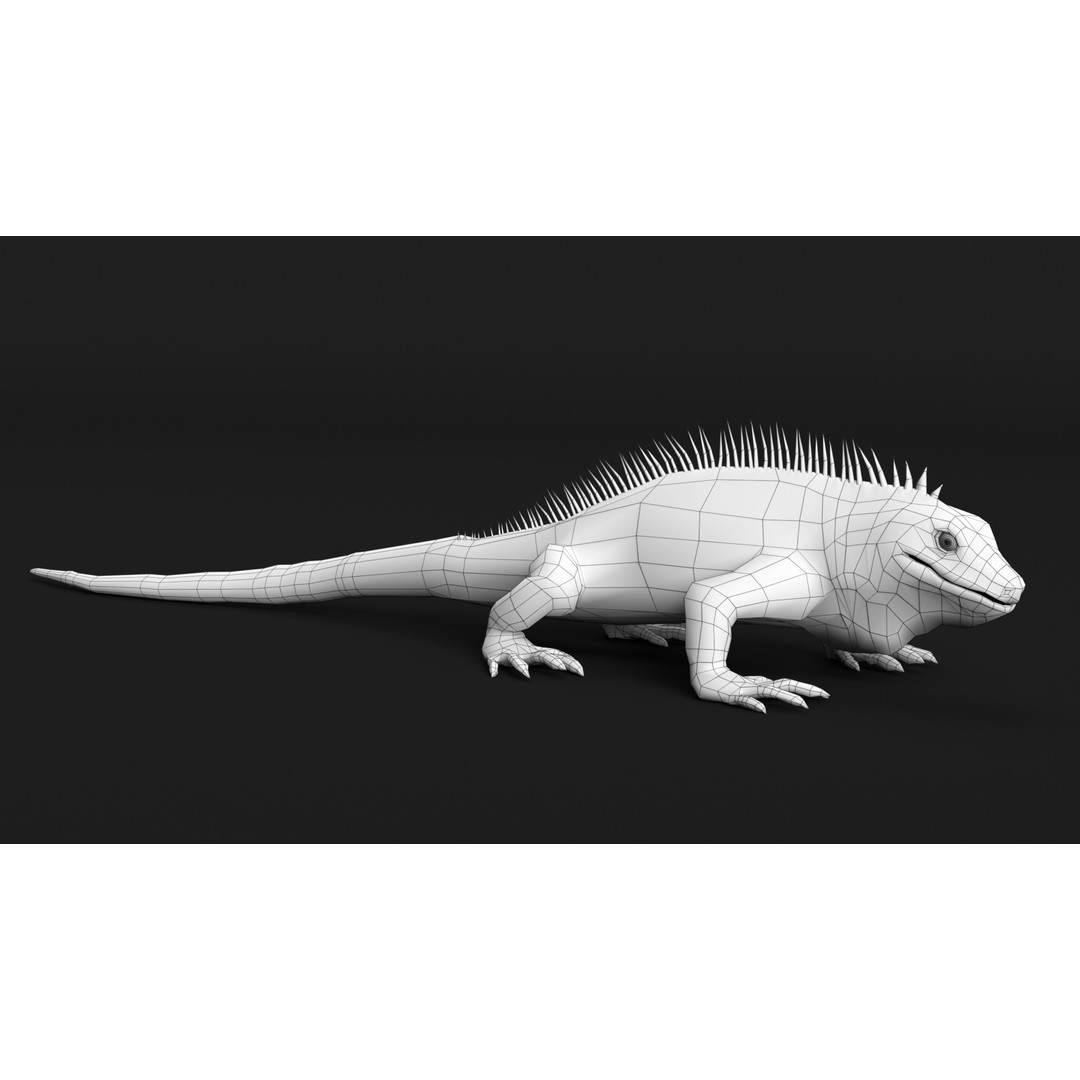 Iguana 3D Model – Low Poly Game Asset, PBR Textures, FBX - View 15