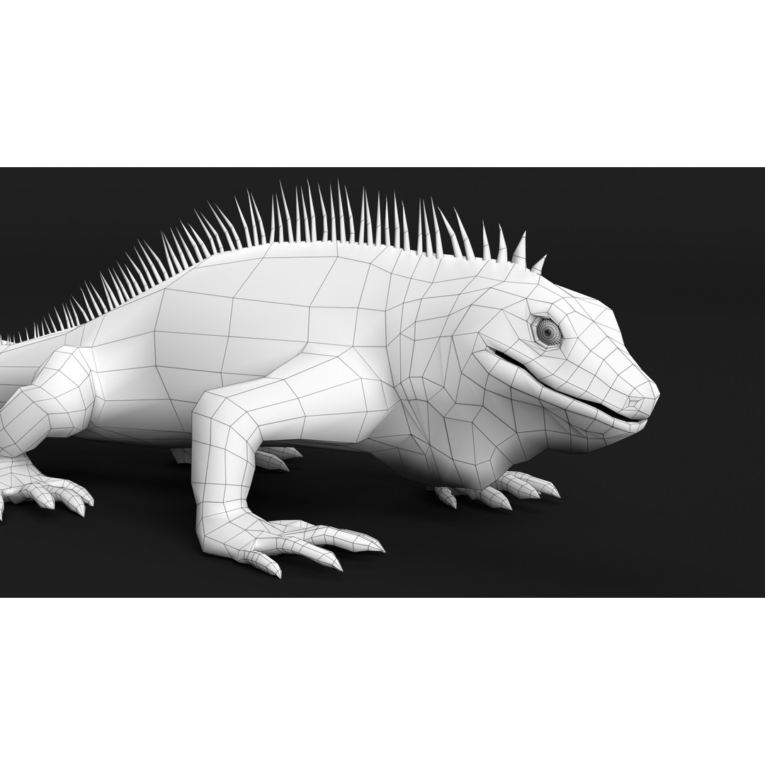 Iguana 3D Model – Low Poly Game Asset, PBR Textures, FBX - View 16