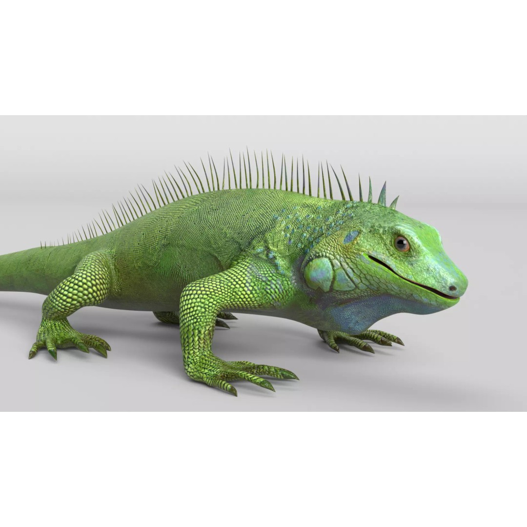Iguana 3D Model – Low Poly Game Asset, PBR Textures, FBX - View 2