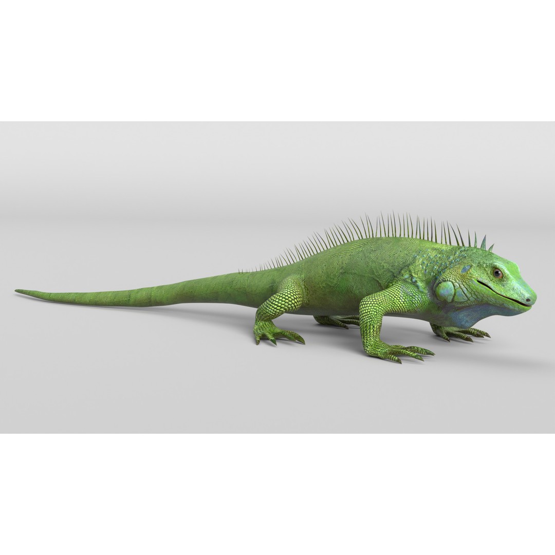 Iguana 3D Model – Low Poly Game Asset, PBR Textures, FBX - View 3