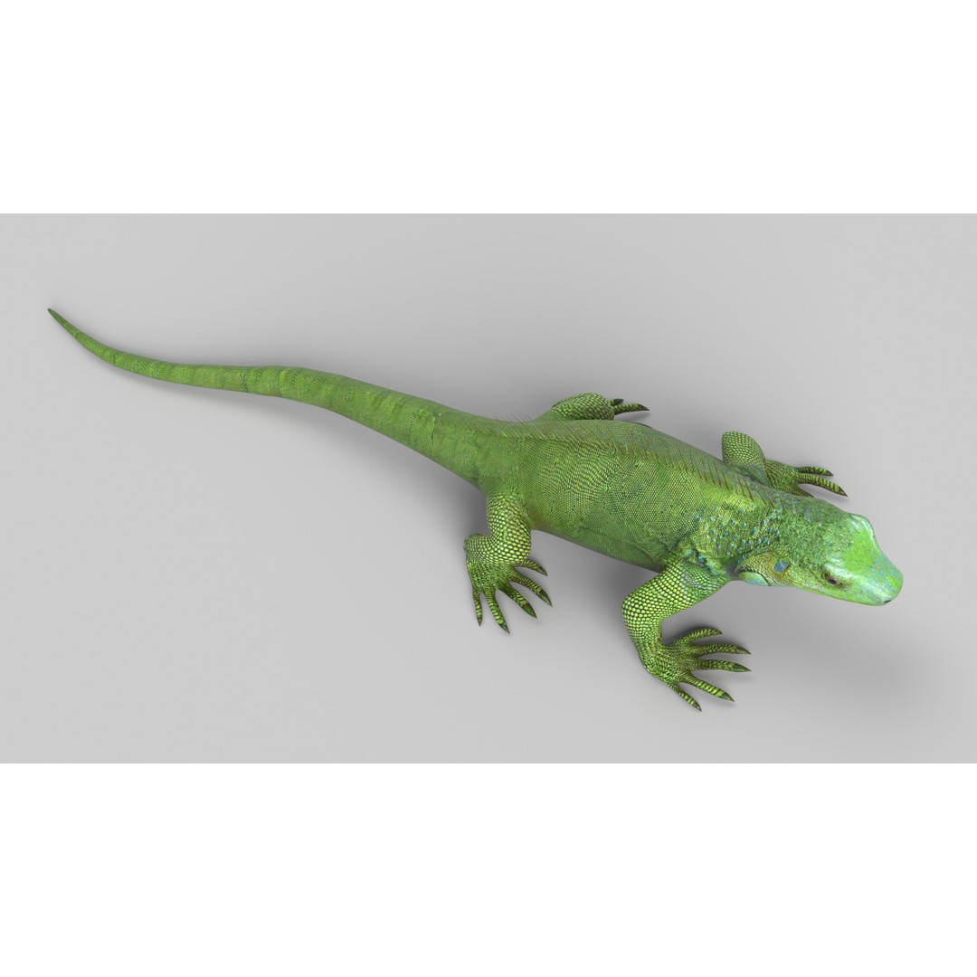 Iguana 3D Model – Low Poly Game Asset, PBR Textures, FBX - View 4
