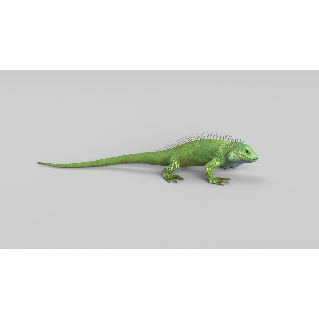 Iguana 3D Model – Low Poly Game Asset, PBR Textures, FBX - View 5