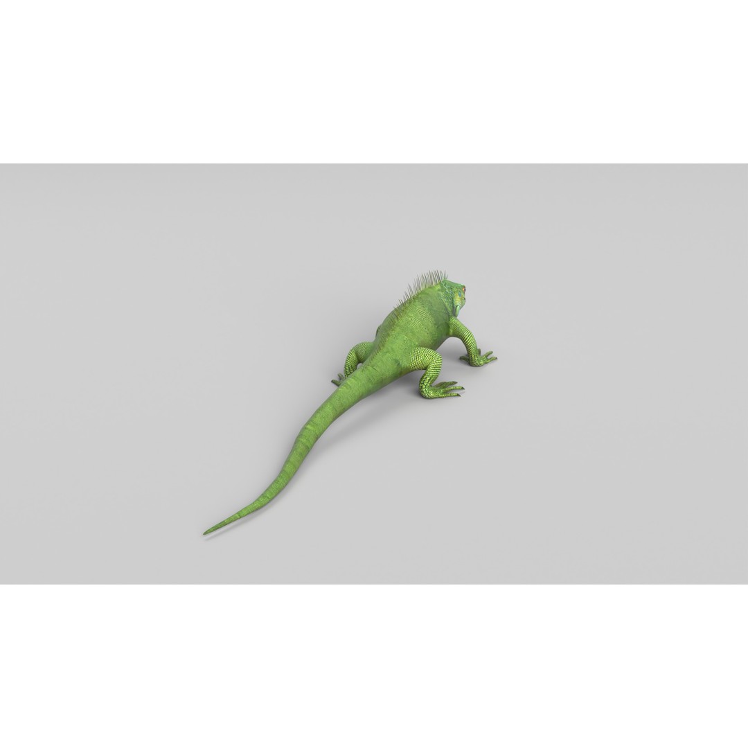 Iguana 3D Model – Low Poly Game Asset, PBR Textures, FBX - View 7