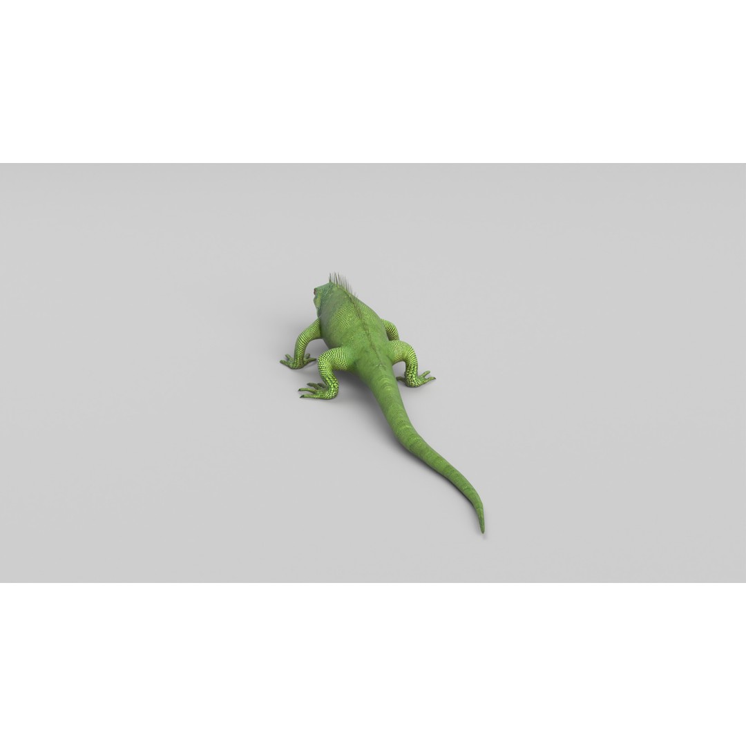 Iguana 3D Model – Low Poly Game Asset, PBR Textures, FBX - View 8