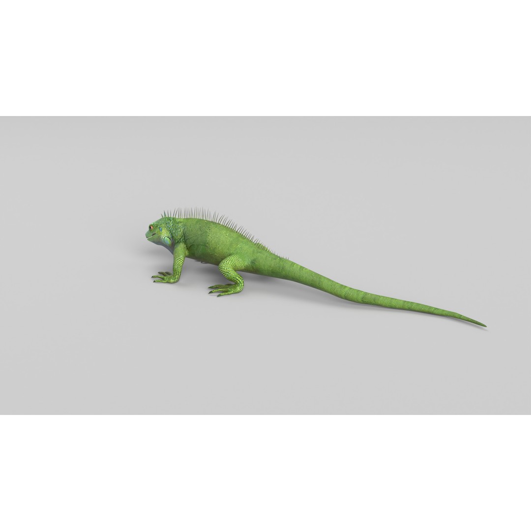 Iguana 3D Model – Low Poly Game Asset, PBR Textures, FBX - View 9