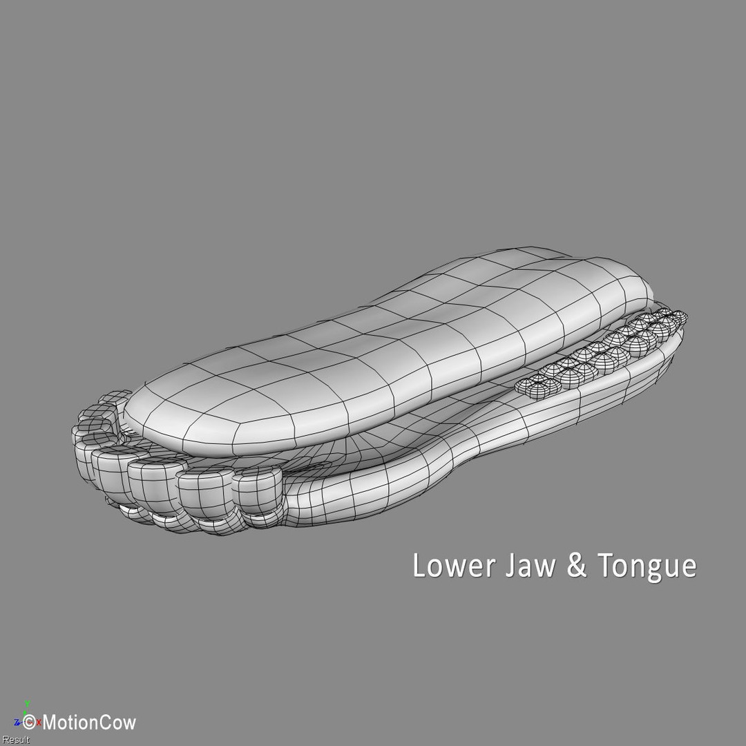 Ayrshire Cow 3D Model – Realistic Rigged Asset for Animation, FBX - View 23
