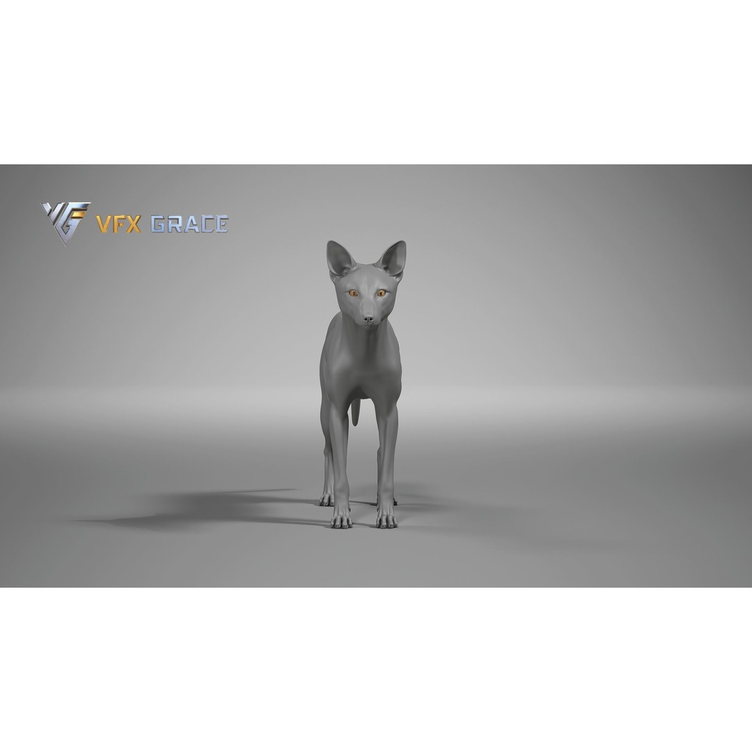 Red Fox 3D Model – High Poly Game-Ready Character Asset for Unreal Engine - View 11
