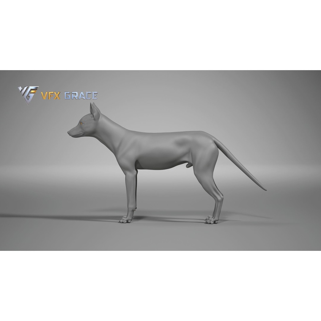 Red Fox 3D Model – High Poly Game-Ready Character Asset for Unreal Engine - View 13