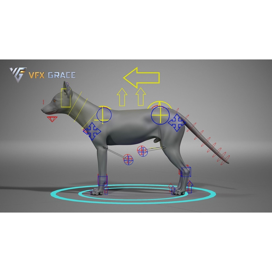 Red Fox 3D Model – High Poly Game-Ready Character Asset for Unreal Engine - View 16