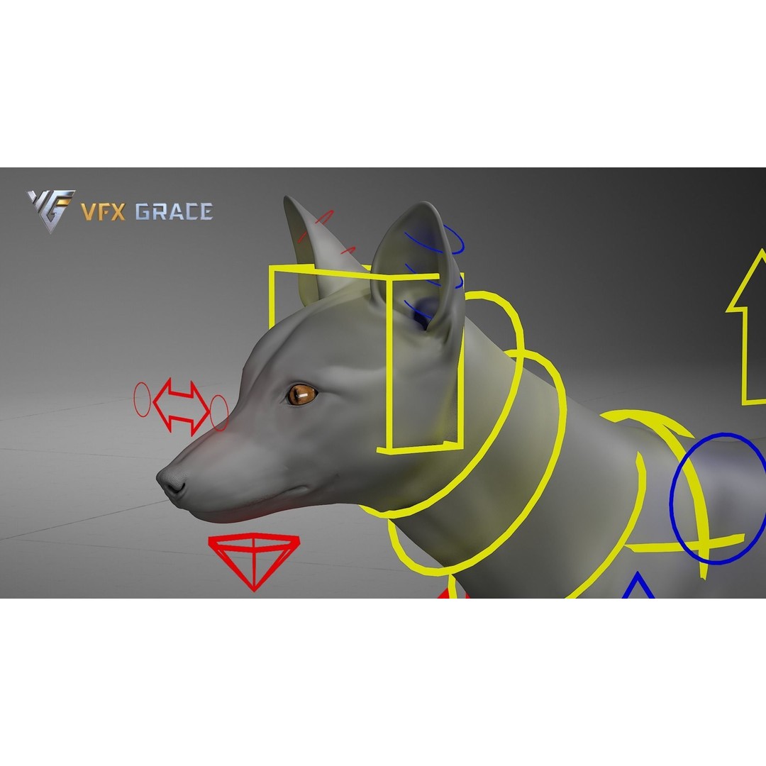 Red Fox 3D Model – High Poly Game-Ready Character Asset for Unreal Engine - View 17