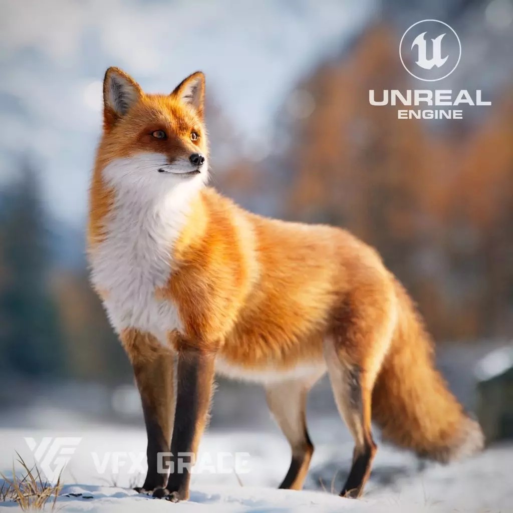 Red Fox 3D Model – High Poly Game-Ready Character Asset for Unreal Engine - View 2