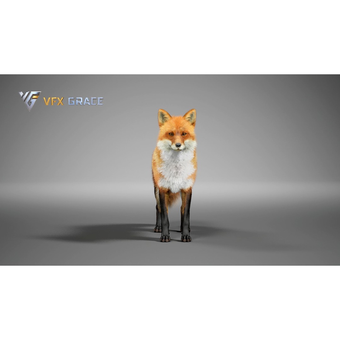 Red Fox 3D Model – High Poly Game-Ready Character Asset for Unreal Engine - View 3