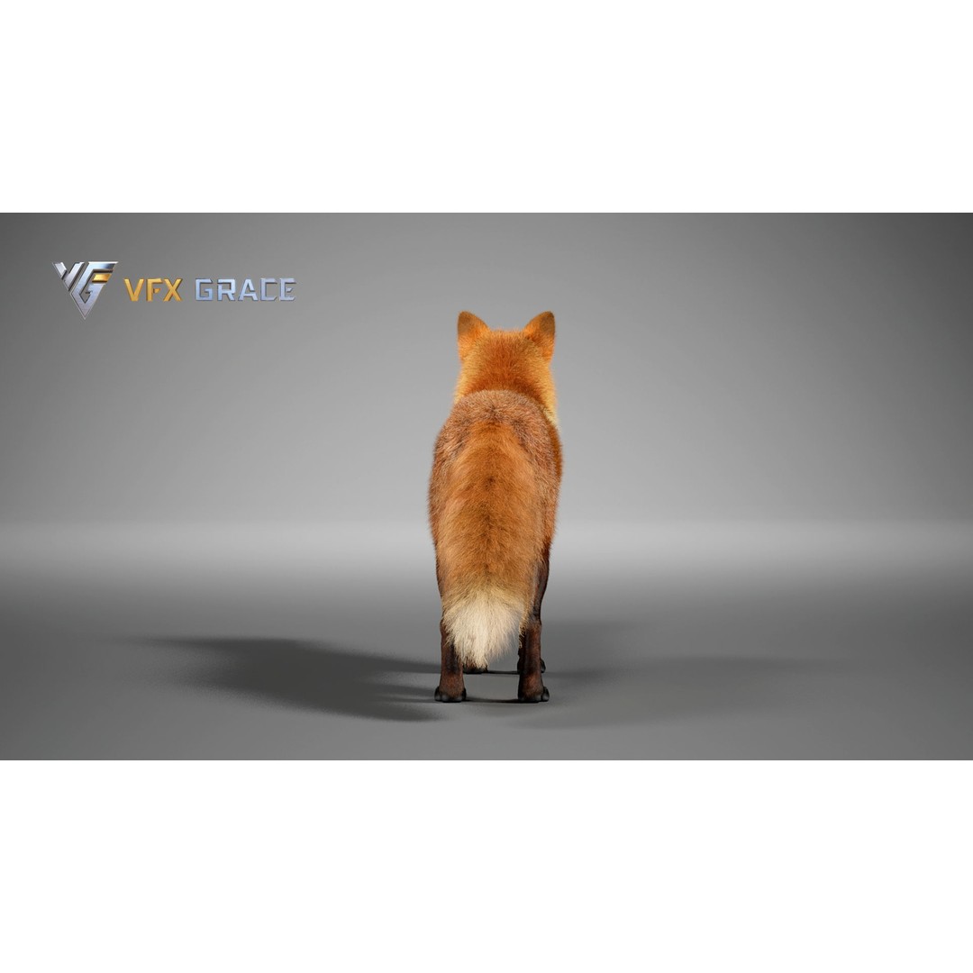 Red Fox 3D Model – High Poly Game-Ready Character Asset for Unreal Engine - View 7