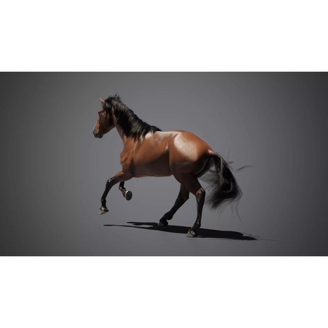 Brown Horse 3D Model – Game-Ready Rigged Asset, Blender & FBX - View 10
