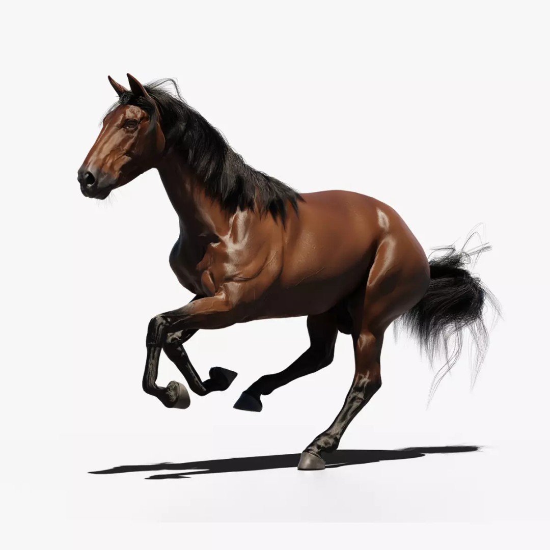 Brown Horse 3D Model – Game-Ready Rigged Asset, Blender & FBX - View 2