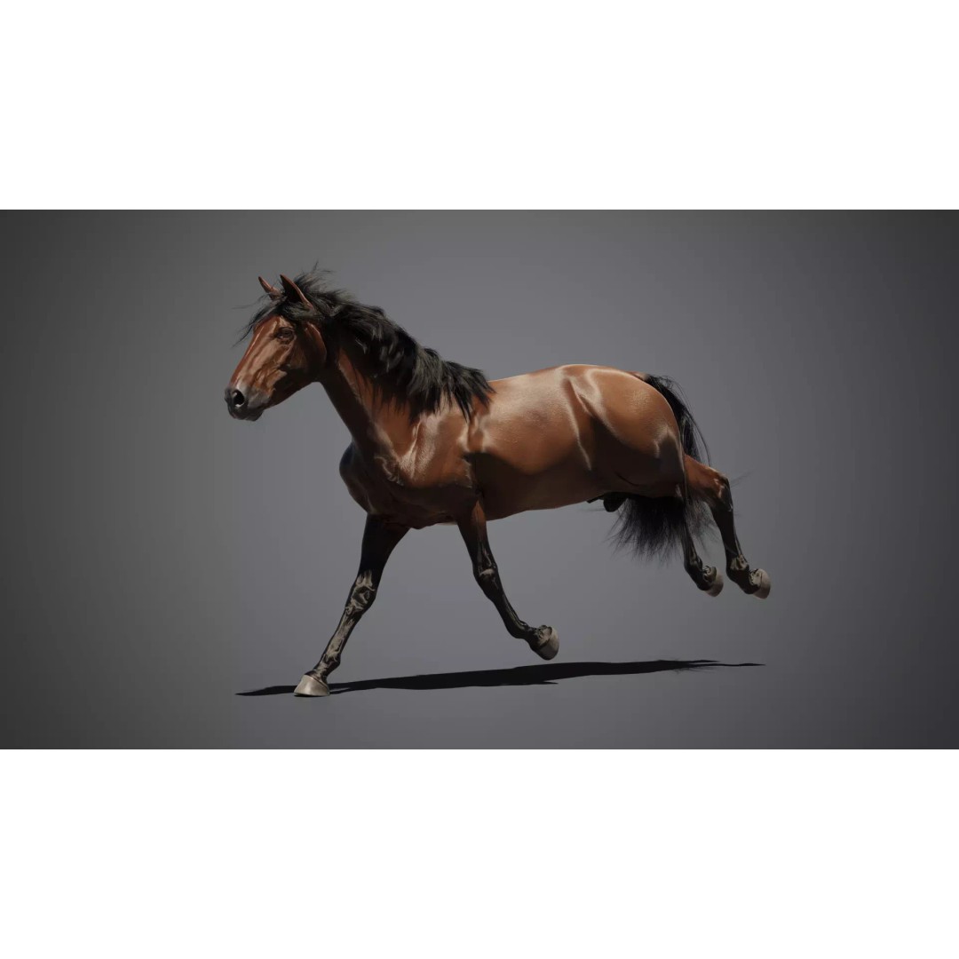 Brown Horse 3D Model – Game-Ready Rigged Asset, Blender & FBX - View 3