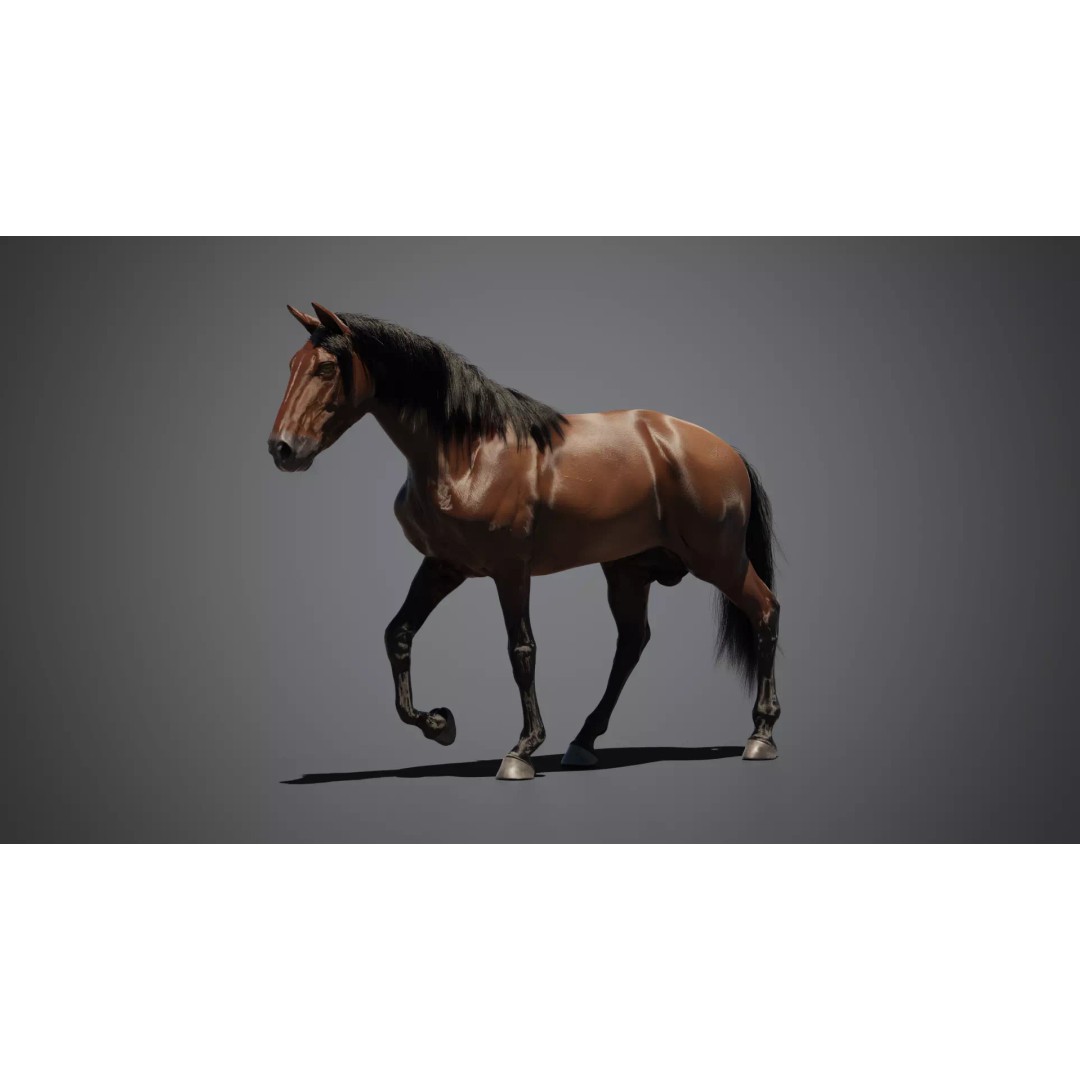 Brown Horse 3D Model – Game-Ready Rigged Asset, Blender & FBX - View 4