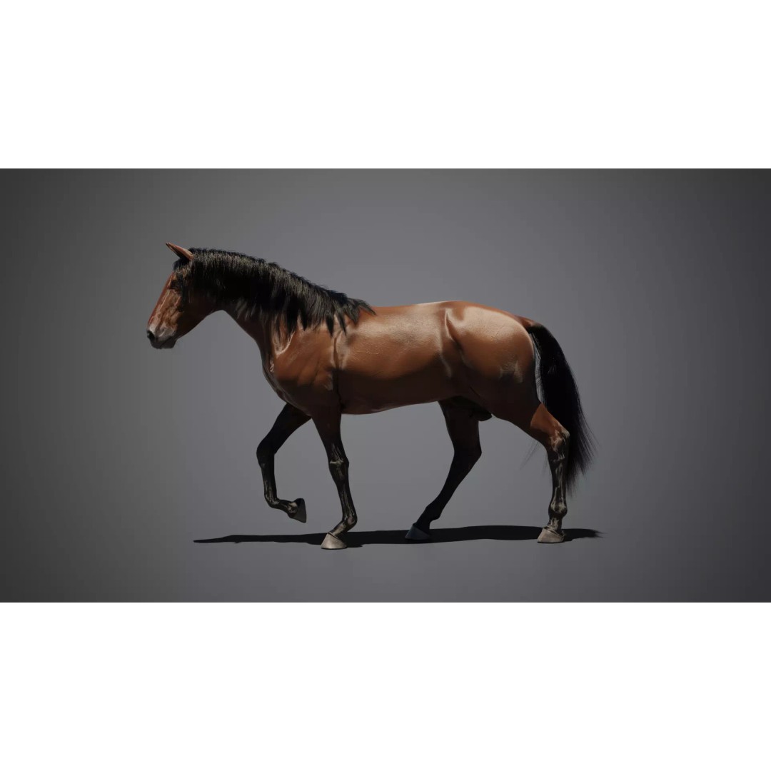Brown Horse 3D Model – Game-Ready Rigged Asset, Blender & FBX - View 5