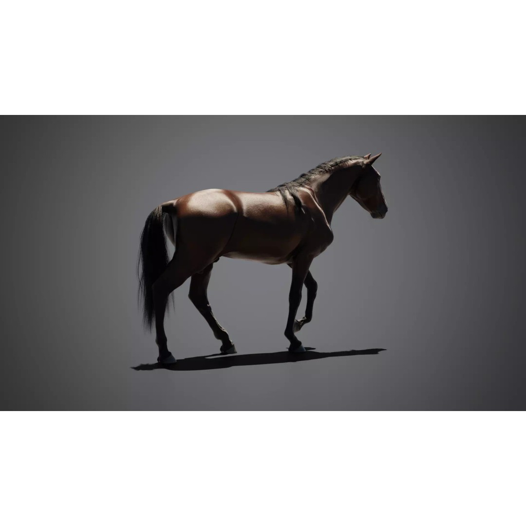 Brown Horse 3D Model – Game-Ready Rigged Asset, Blender & FBX - View 7