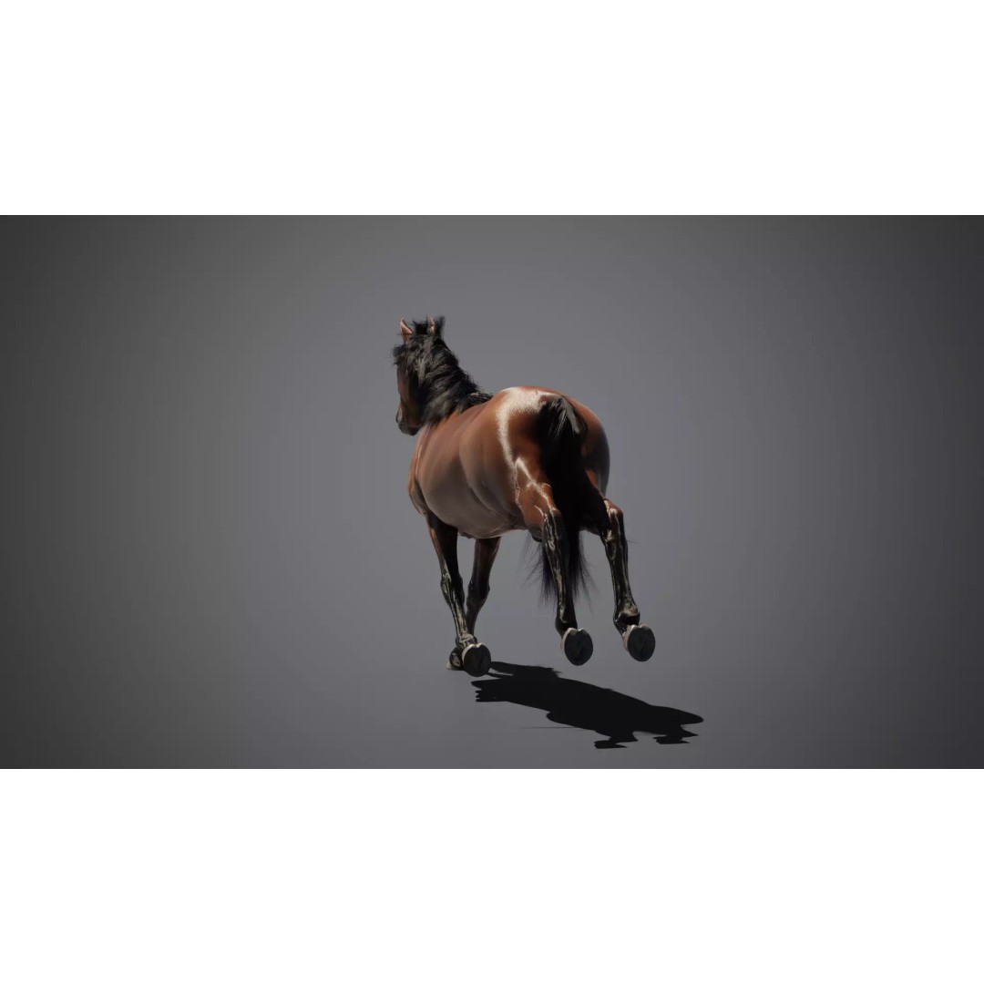 Brown Horse 3D Model – Game-Ready Rigged Asset, Blender & FBX - View 9