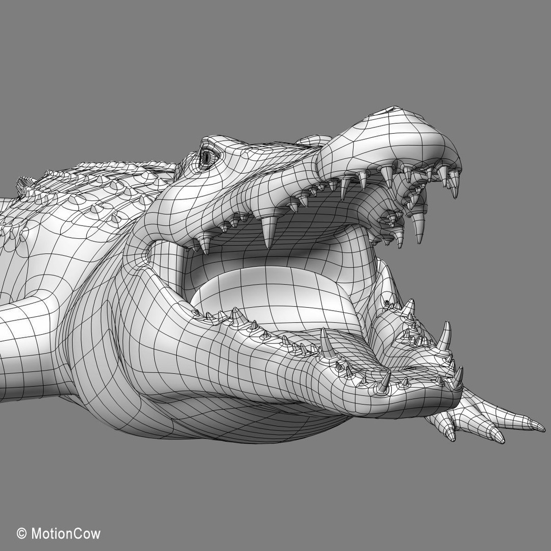 Realistic Crocodile 3D Model – Rigged Game Asset, FBX - View 23