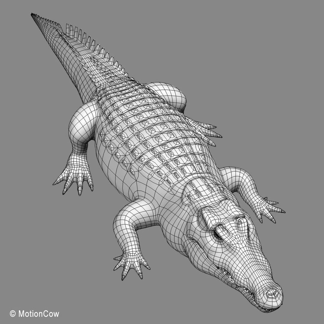 Realistic Crocodile 3D Model – Rigged Game Asset, FBX - View 24