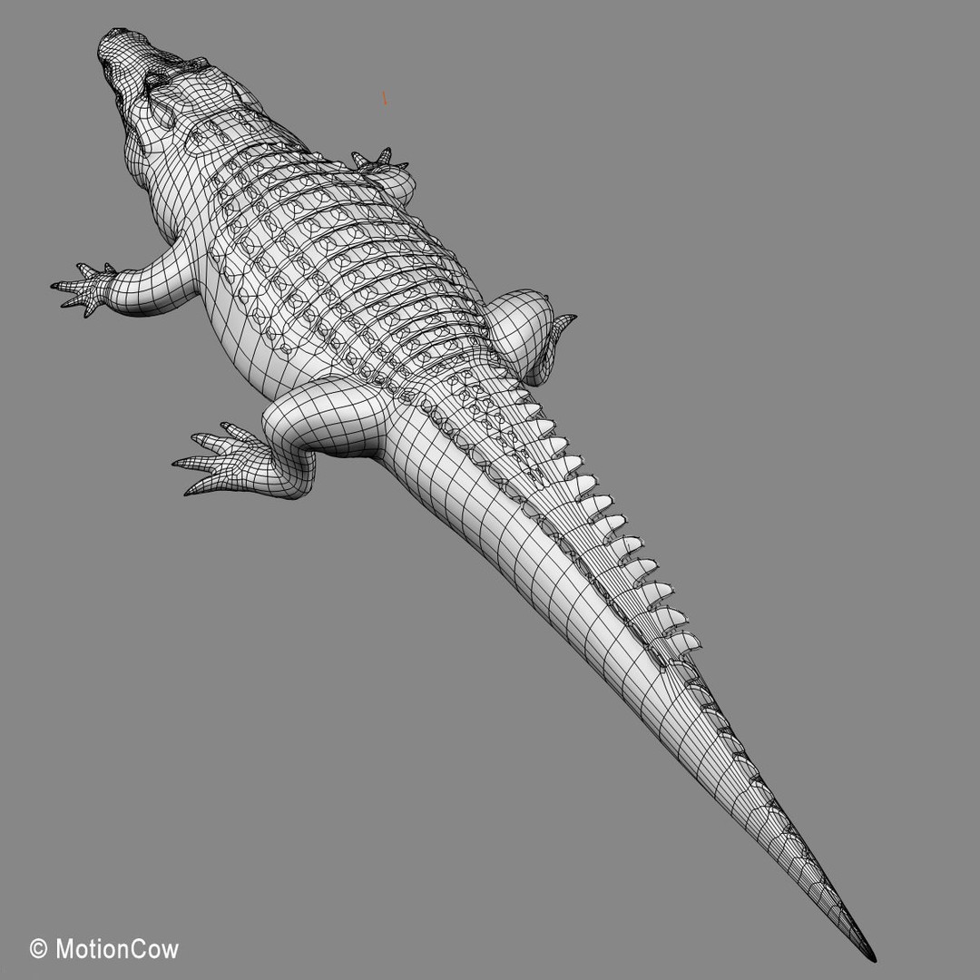 Realistic Crocodile 3D Model – Rigged Game Asset, FBX - View 25