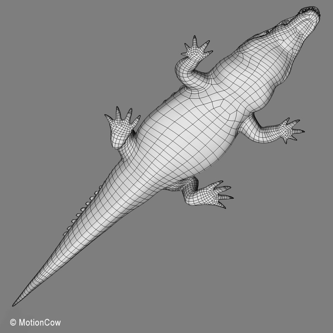 Realistic Crocodile 3D Model – Rigged Game Asset, FBX - View 26