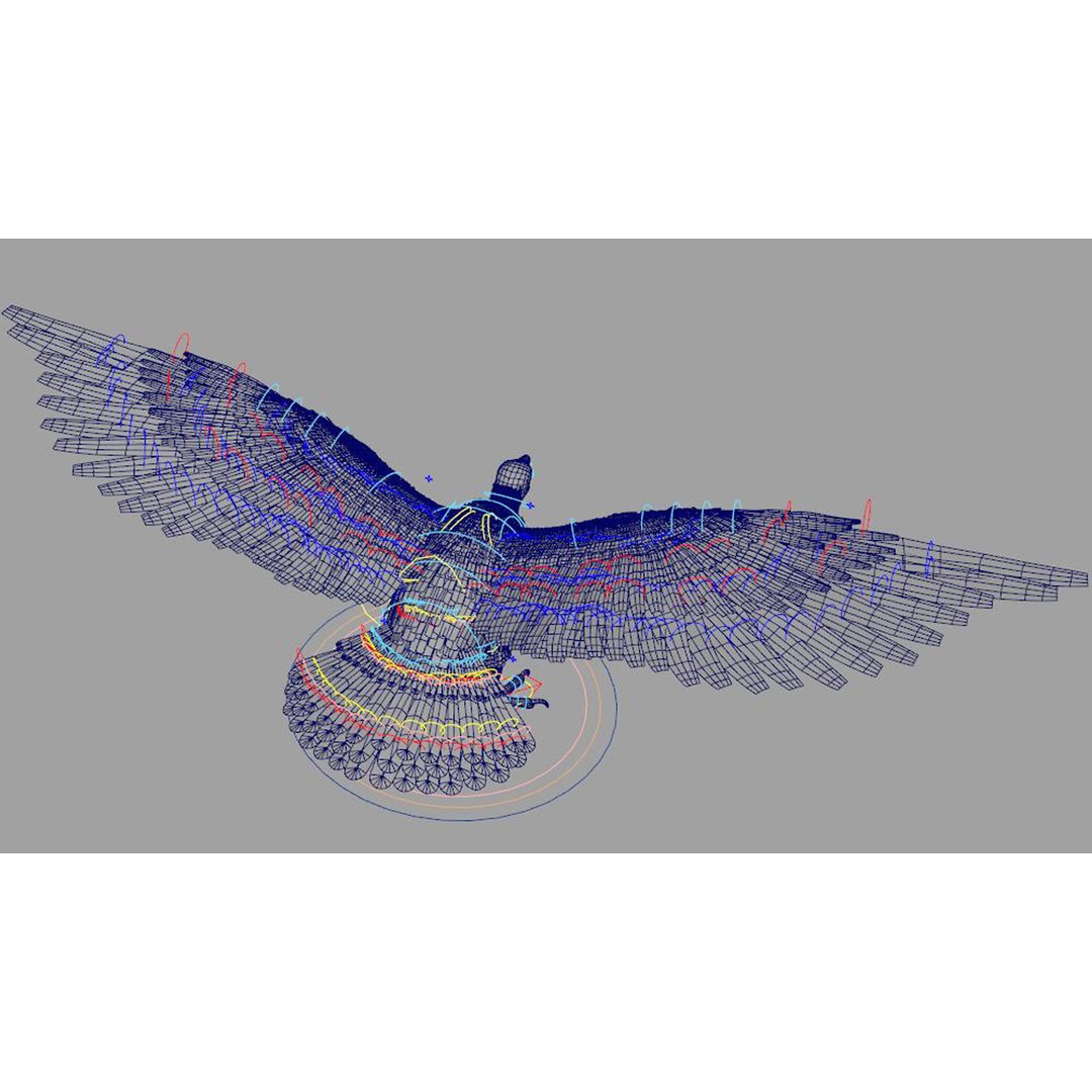 Vulture 3D Model – Rigged Polygon Mesh with Textures for Animation - View 10