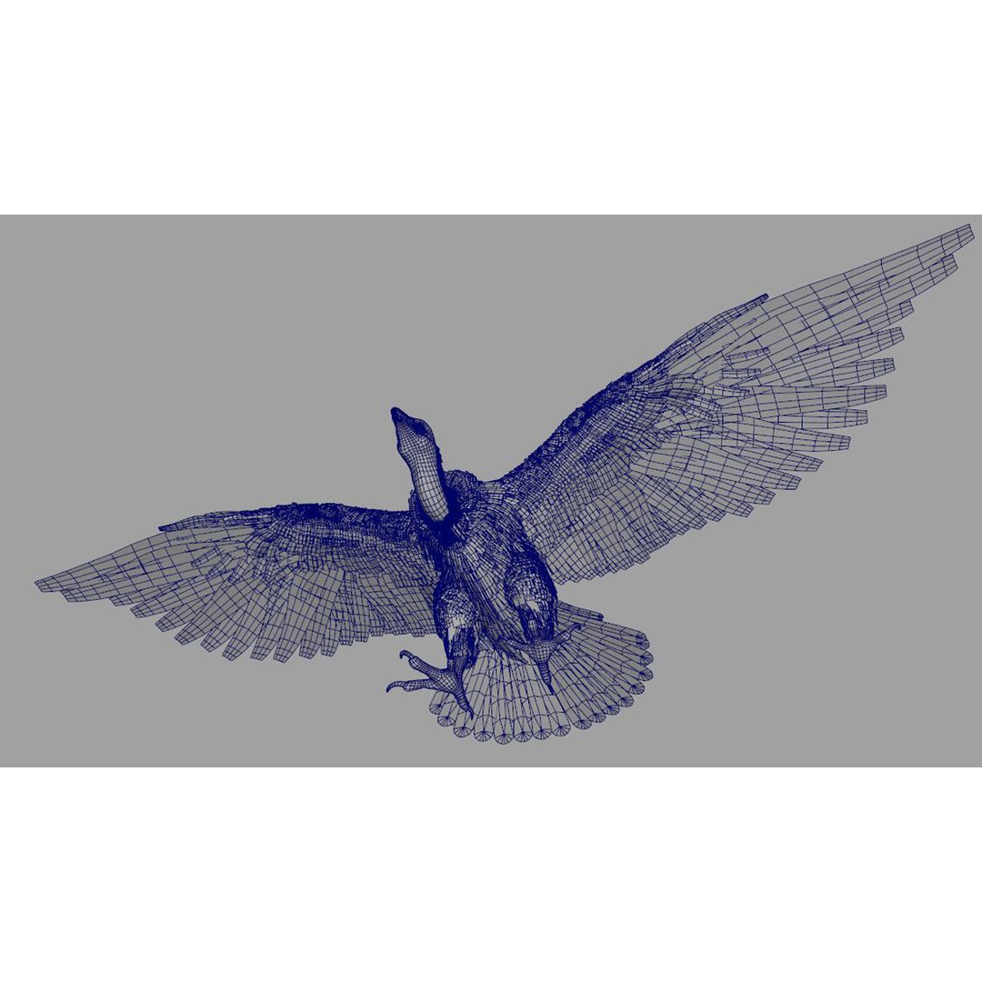Vulture 3D Model – Rigged Polygon Mesh with Textures for Animation - View 12