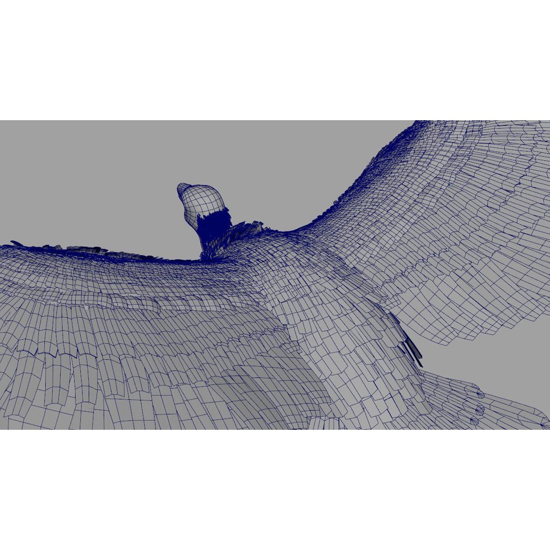 Vulture 3D Model – Rigged Polygon Mesh with Textures for Animation - View 13
