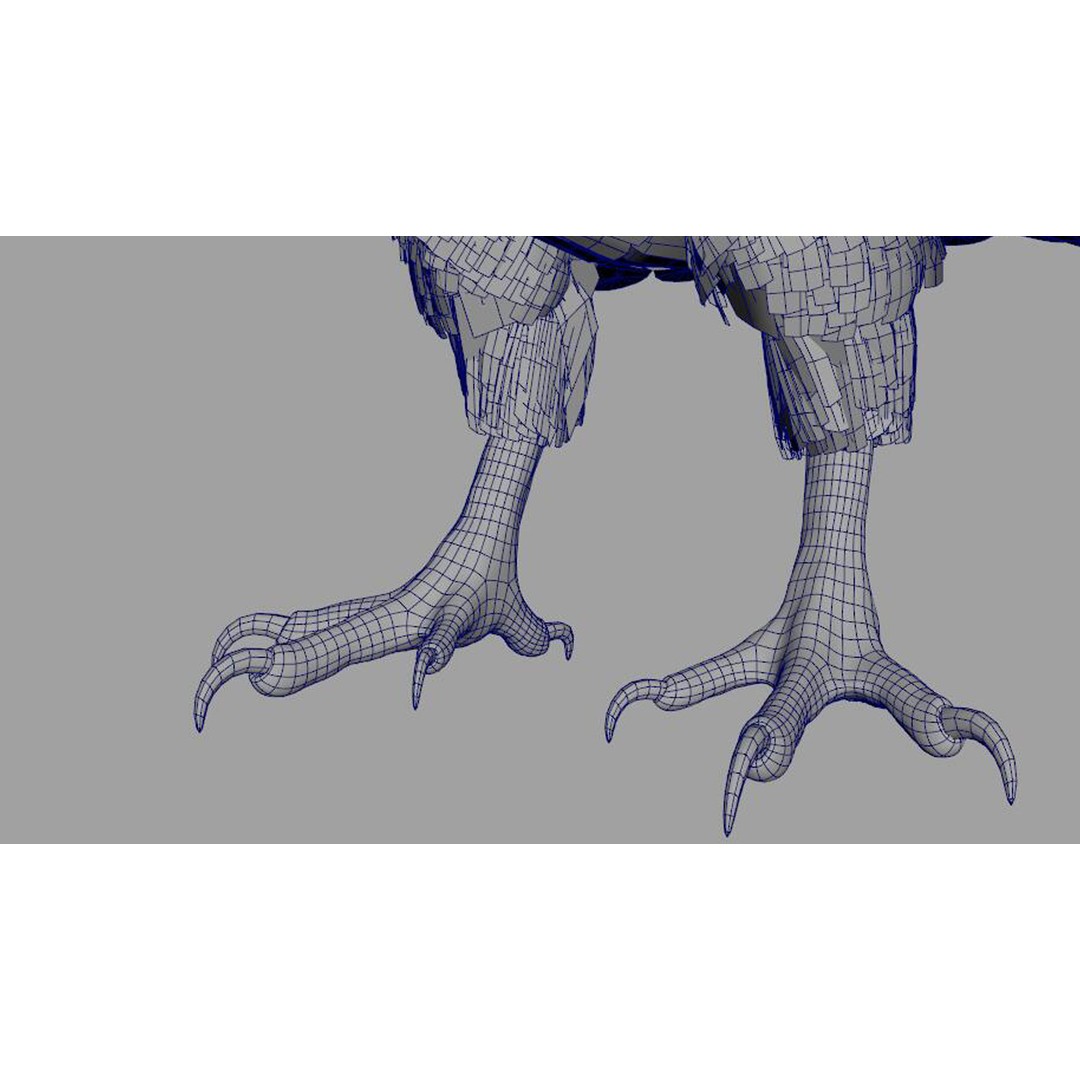 Vulture 3D Model – Rigged Polygon Mesh with Textures for Animation - View 15