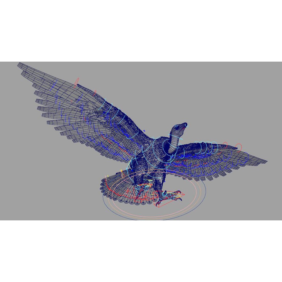 Vulture 3D Model – Rigged Polygon Mesh with Textures for Animation - View 9