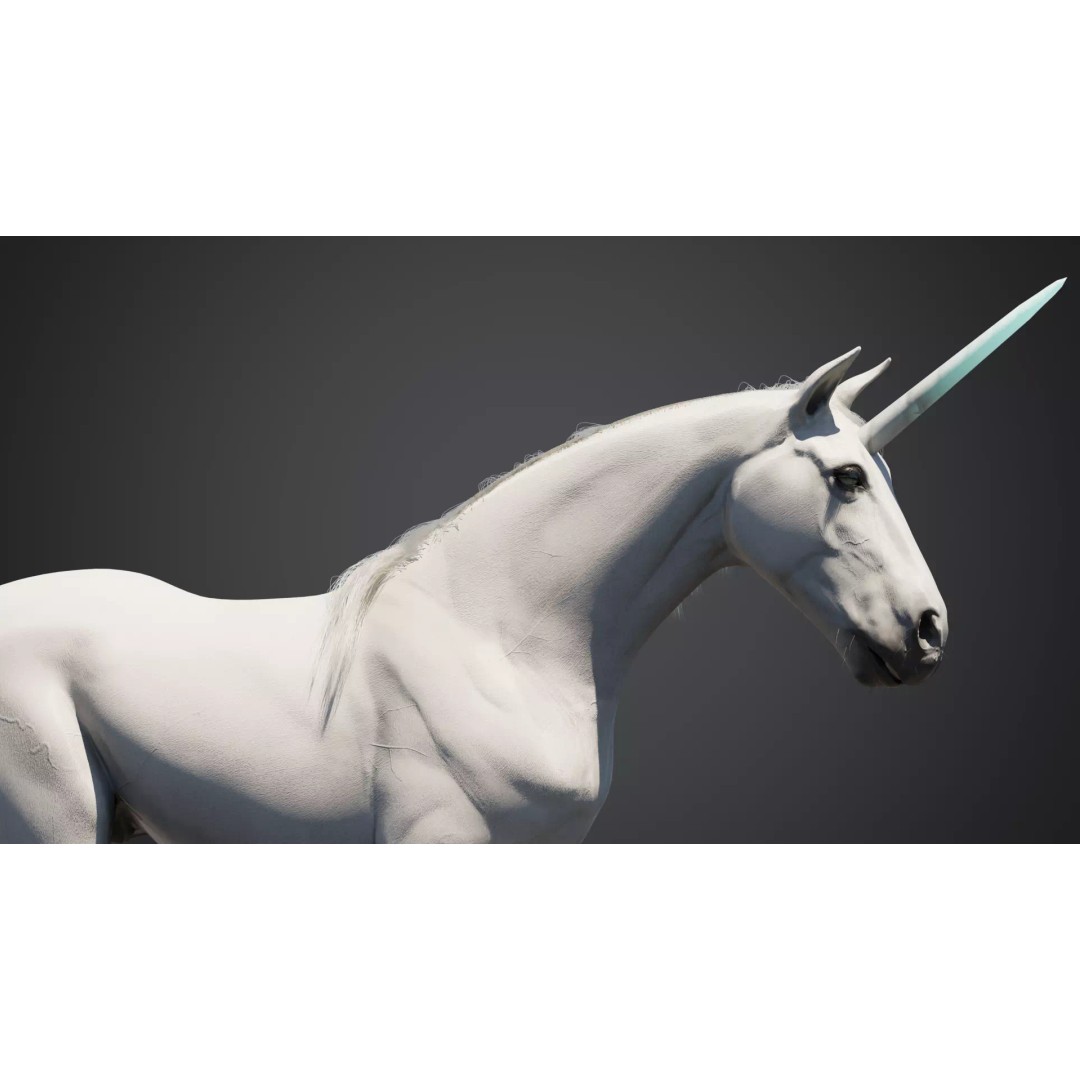 Unicorn 3D Model – Animated Rigged Character with PBR Textures - View 4