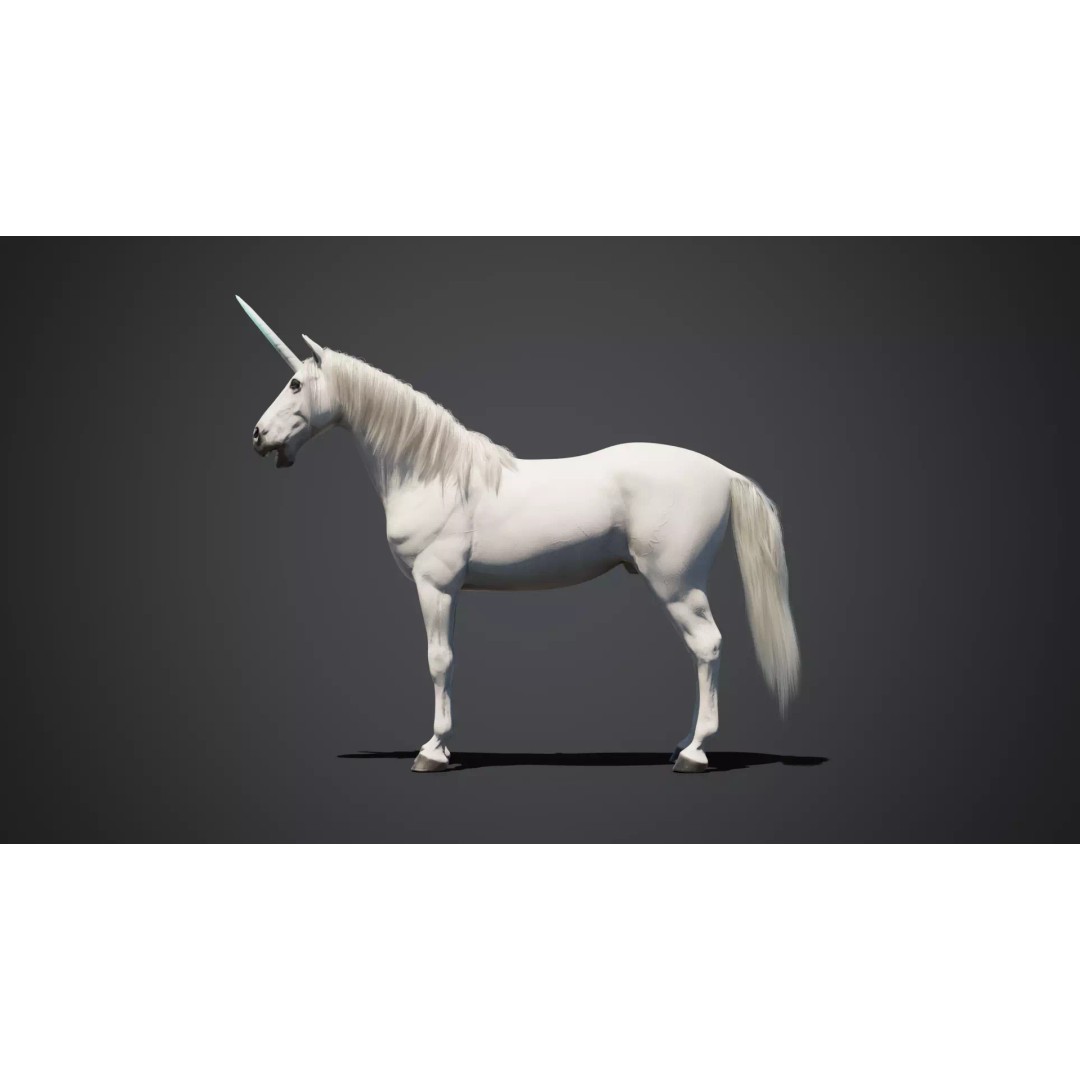 Unicorn 3D Model – Animated Rigged Character with PBR Textures - View 8