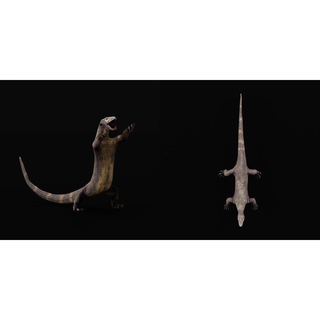 Komodo Dragon 3D Model – Low Poly Game Ready, FBX, Blender - View 10