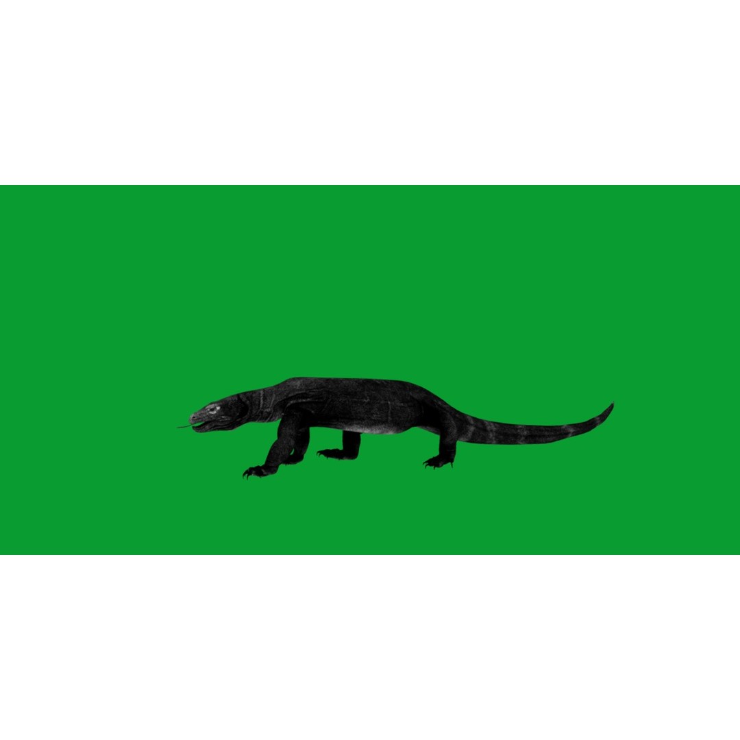 Komodo Dragon 3D Model – Low Poly Game Ready, FBX, Blender - View 13