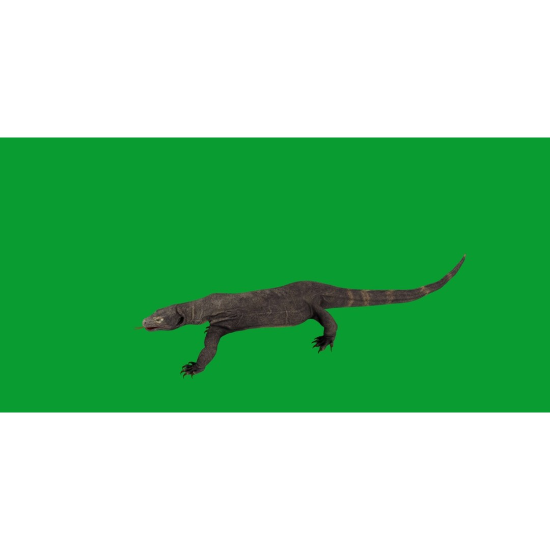 Komodo Dragon 3D Model – Low Poly Game Ready, FBX, Blender - View 15