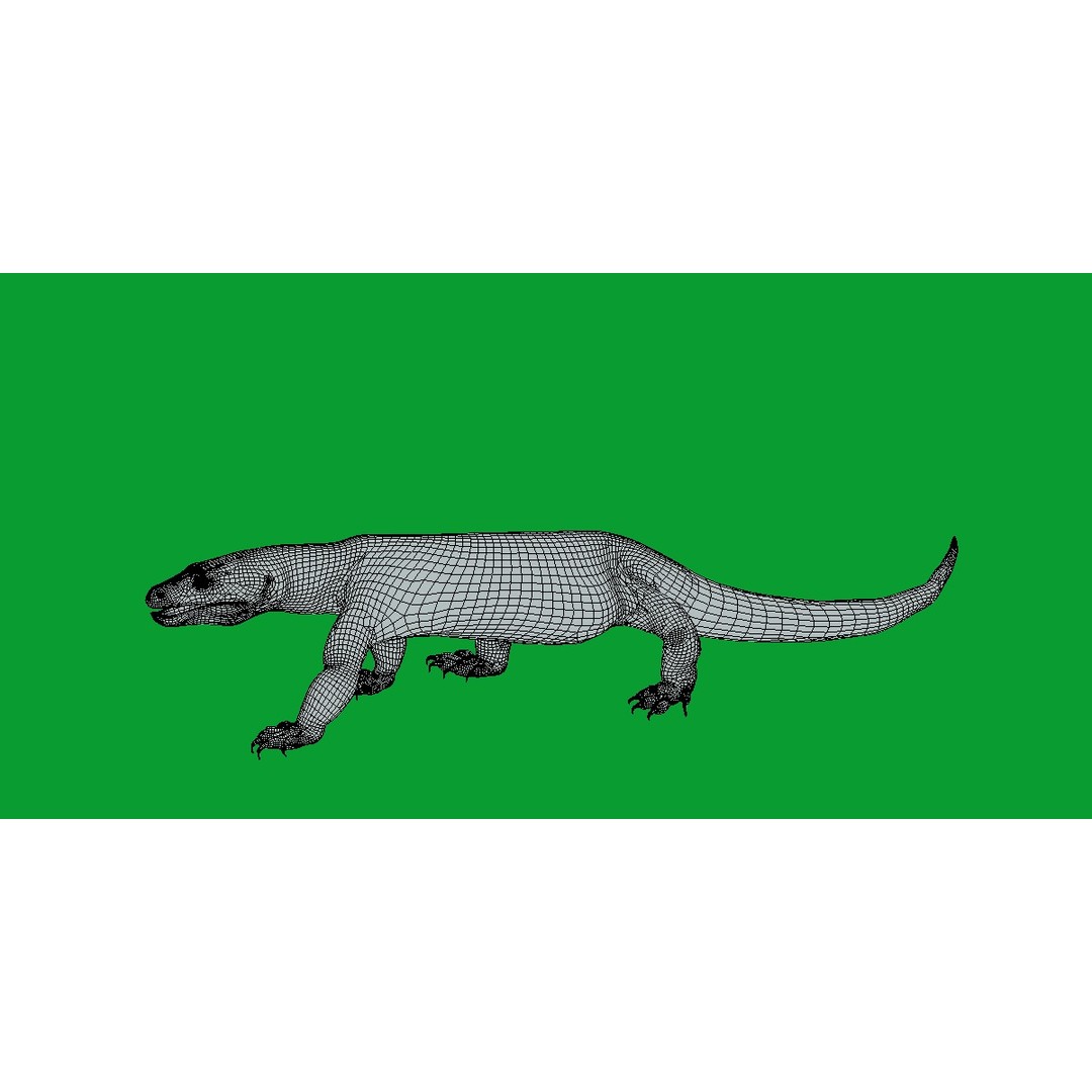Komodo Dragon 3D Model – Low Poly Game Ready, FBX, Blender - View 20