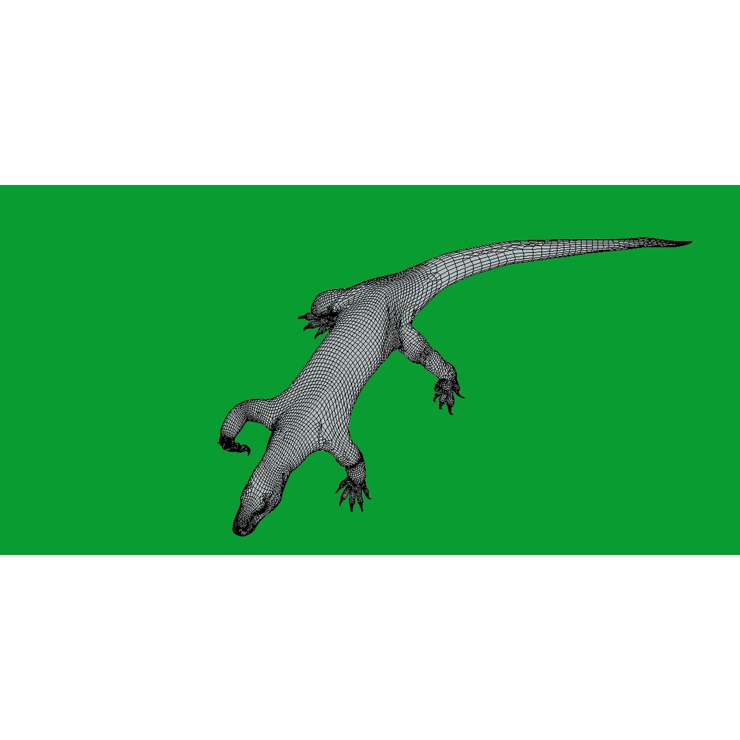 Komodo Dragon 3D Model – Low Poly Game Ready, FBX, Blender - View 21
