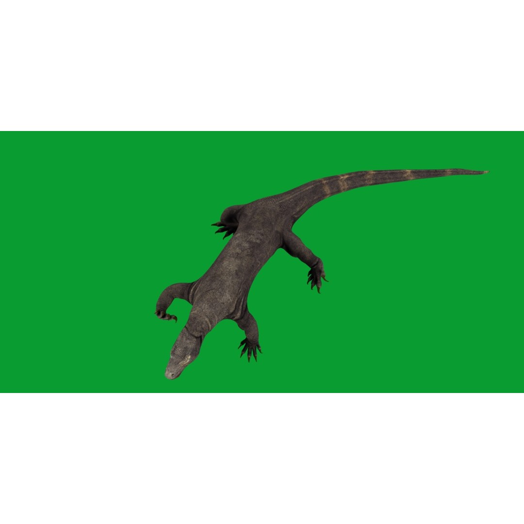 Komodo Dragon 3D Model – Low Poly Game Ready, FBX, Blender - View 22