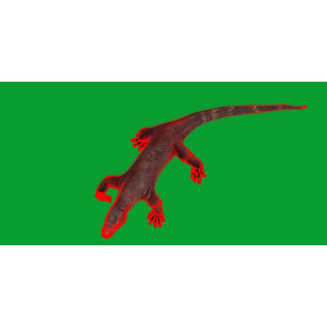 Komodo Dragon 3D Model – Low Poly Game Ready, FBX, Blender - View 23