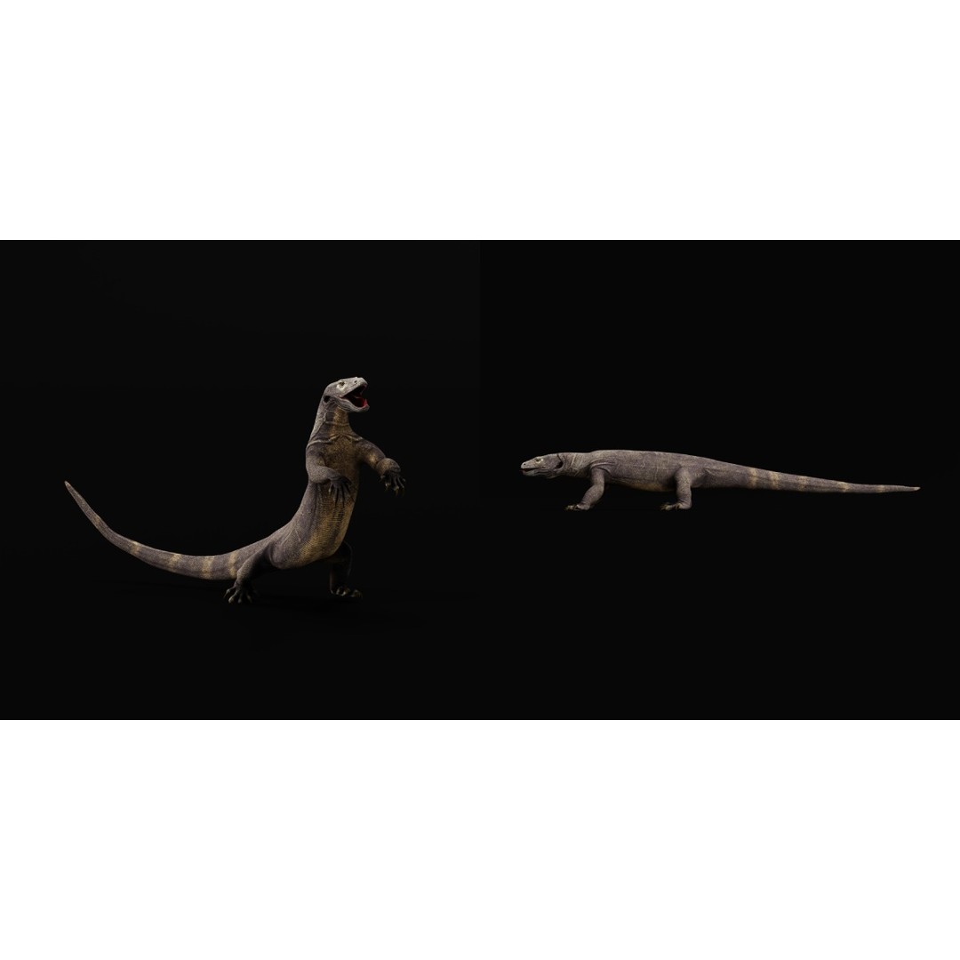Komodo Dragon 3D Model – Low Poly Game Ready, FBX, Blender - View 25
