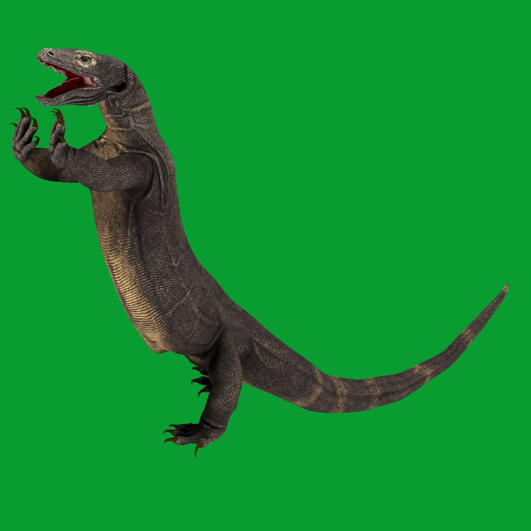Komodo Dragon 3D Model – Low Poly Game Ready, FBX, Blender - View 28