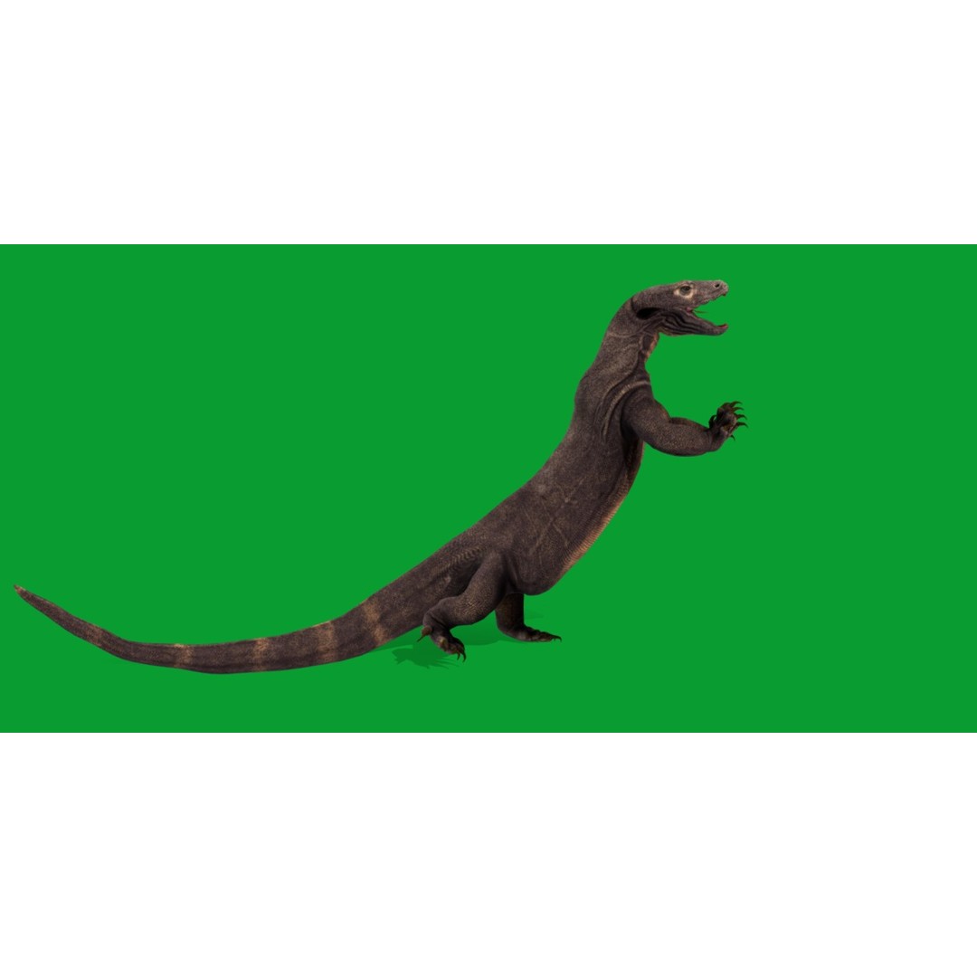 Komodo Dragon 3D Model – Low Poly Game Ready, FBX, Blender - View 3