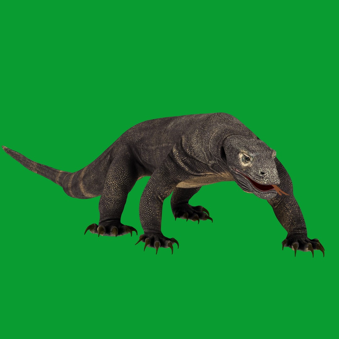 Komodo Dragon 3D Model – Low Poly Game Ready, FBX, Blender - View 30