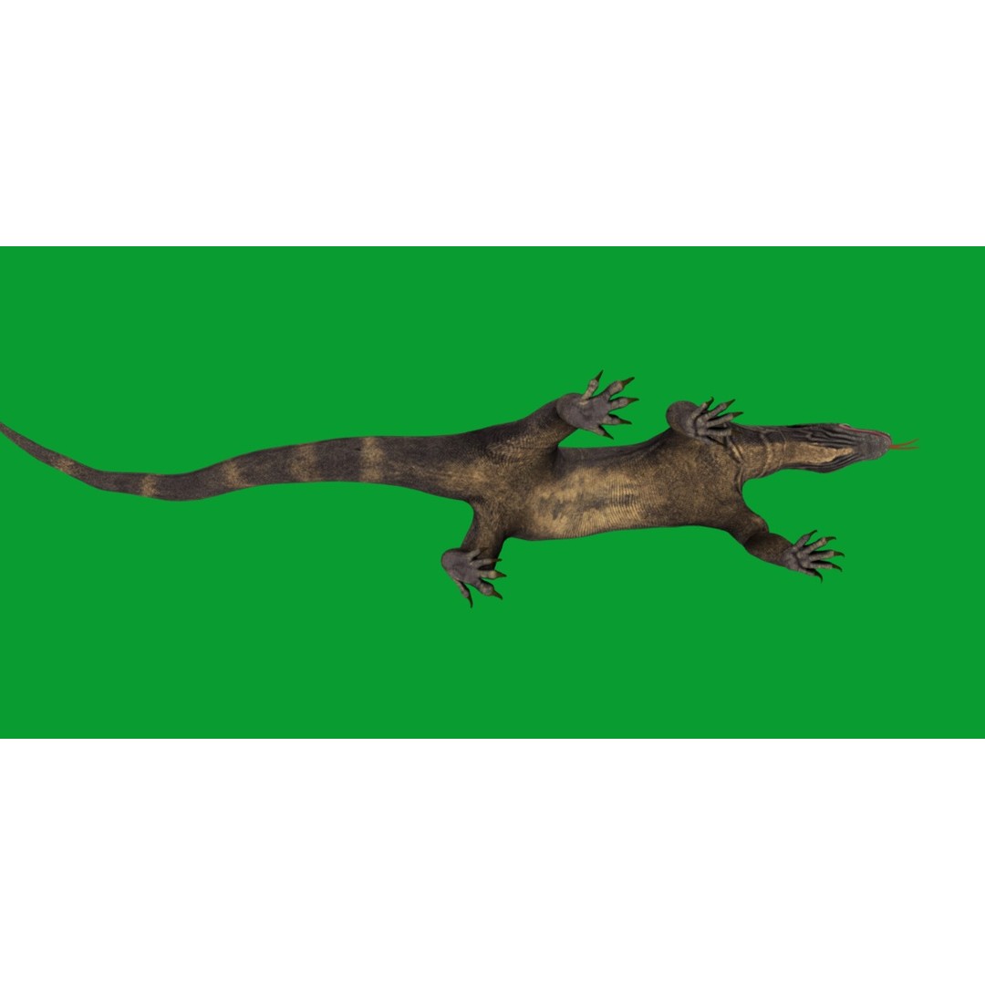 Komodo Dragon 3D Model – Low Poly Game Ready, FBX, Blender - View 33