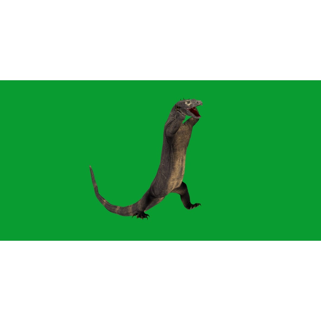 Komodo Dragon 3D Model – Low Poly Game Ready, FBX, Blender - View 36